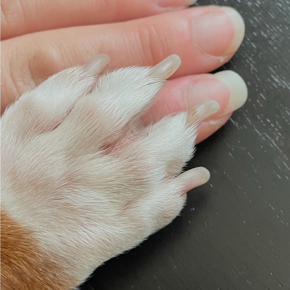 Meet your Posher, Jen - Picture 6 of 6